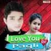 About I Love You Re Pagli Song